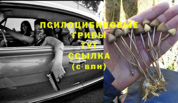 мяу мяу кристалл Вяземский
