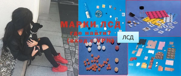 ПСИЛОЦИБИНОВЫЕ ГРИБЫ Вязьма