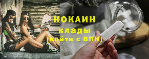ПСИЛОЦИБИНОВЫЕ ГРИБЫ Вязьма